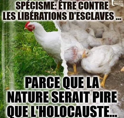 InnAbolition's tweet photo. TRANSFORME TON CHAGRIN EN ACTION DE LIBÉRATION ! 
QUE CHAQUE ANIMALISTE LIBÈRE UN CAMP ET NOUS AURONS L'ABOLITION !

OUVRONS TOUS LES CAMPS, PARTOUT, TOUT LE TEMPS !

#BoucherieAbolition #FreedomCantWait #AnimalLiberation #ElevageAbolition #OpenTheCage https://t.co/DghW9nKSph