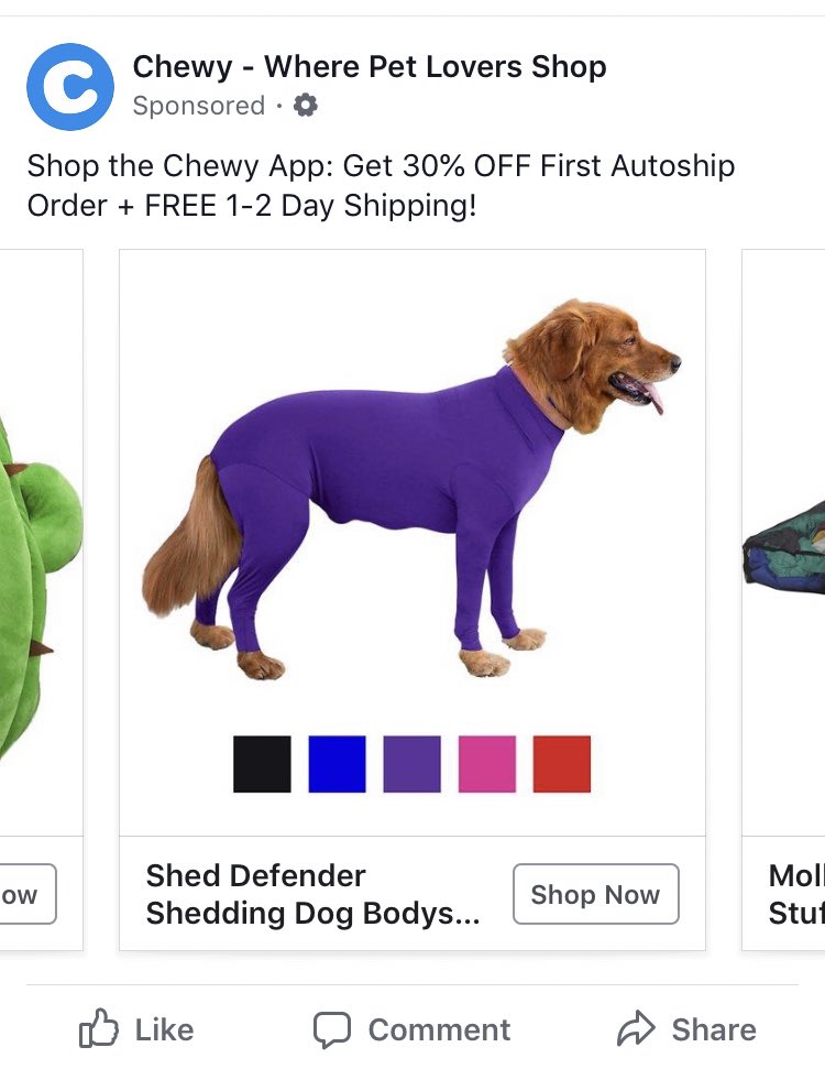 lydtothejar's tweet photo. Google has heard me whine about the amount of dog hair in our home for too long. This dog unitard solves all my problems. https://t.co/ht2Xb8Pp5N