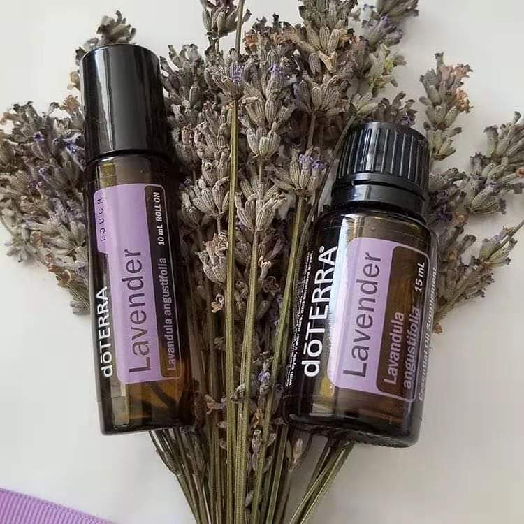 TheOilLover's tweet photo. Add a few drops of Lavender into the diffuser for a restful night. Sleep right. 😴😴😴

#TheOilLover #Lavender #EssentialOil #doterra #sleep https://t.co/OB5Rv5rMU9