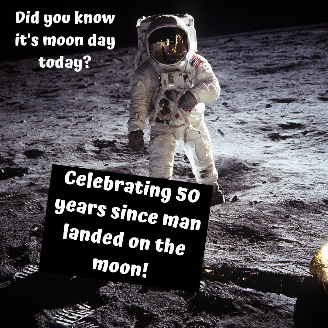 LemonTreeBooks's tweet image. 