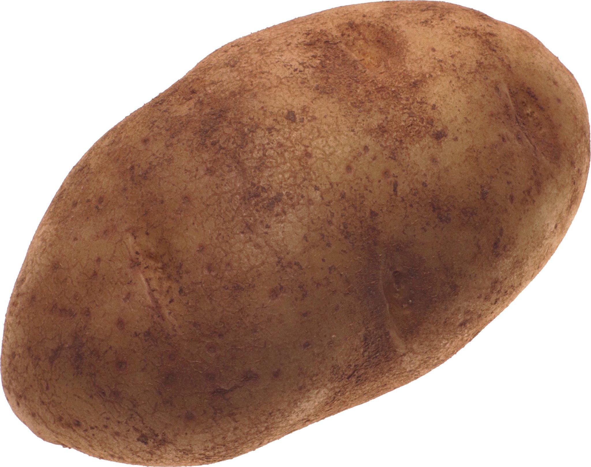 Картофель 'Russet Burbank'