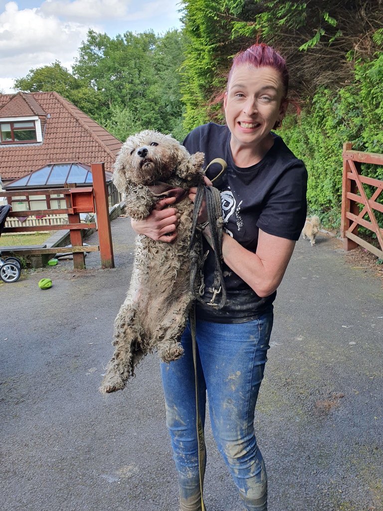 foarctwales's tweet photo. ‘Can I take Carol to the beach’ said Celeste one of our wonderful volunteers and look how she brings her home. As one of our precious puppyfarm survivors Carol  spent her previous life in a shed  so has never seen the sea. Looks like it was a great success. #lovethesand https://t.co/1LiBmKYWWs