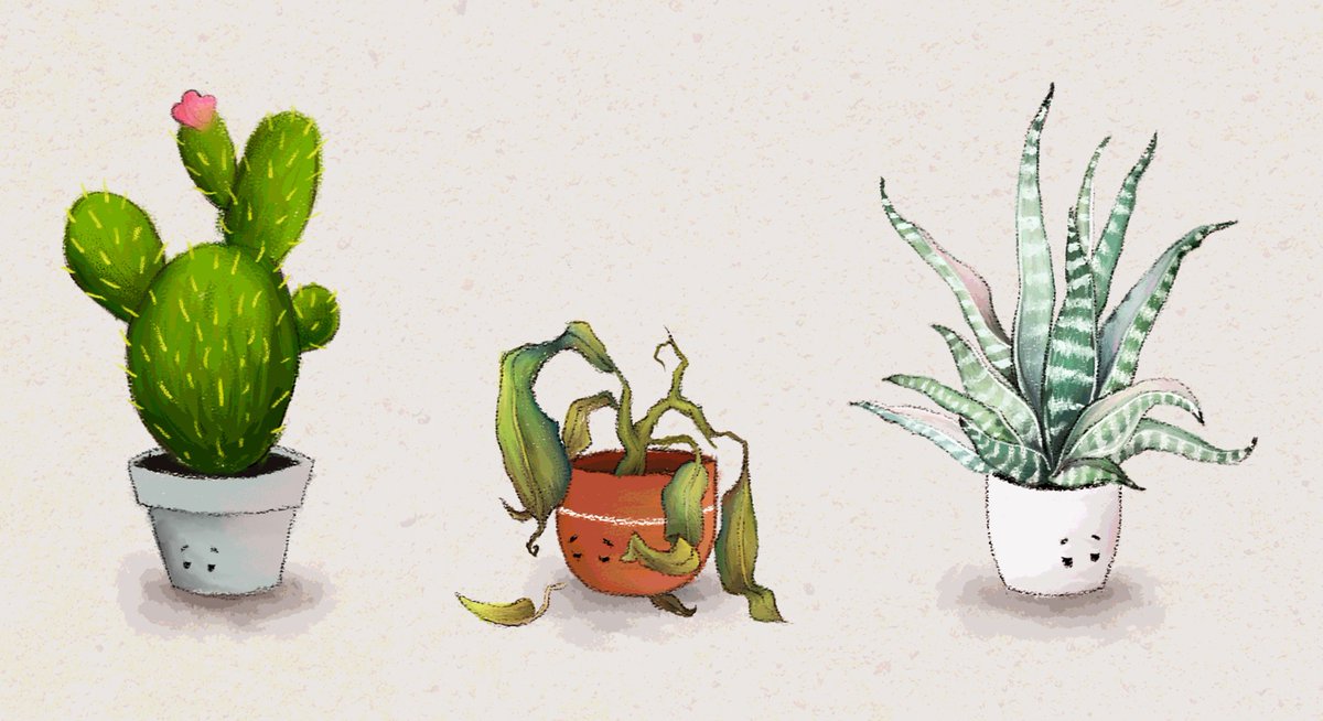 AUB Human tweet media