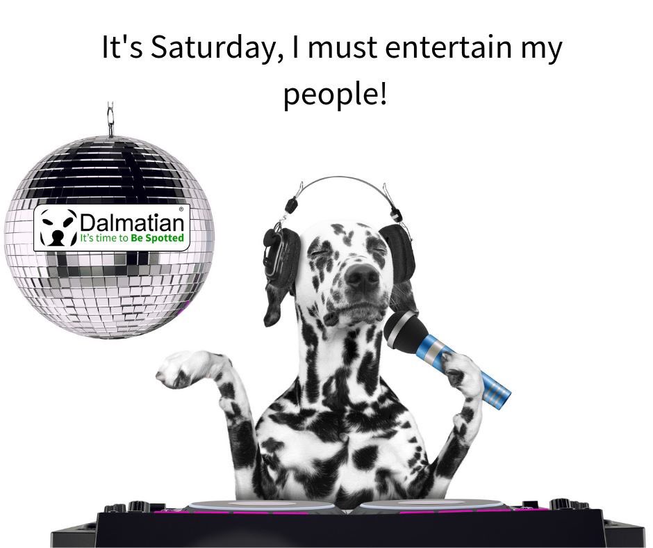 Trinderella1's tweet photo. #Dalmatian #bespotted #letmeentertainyou #dj #theweeknd #yolo https://t.co/UOcuIxFw2z