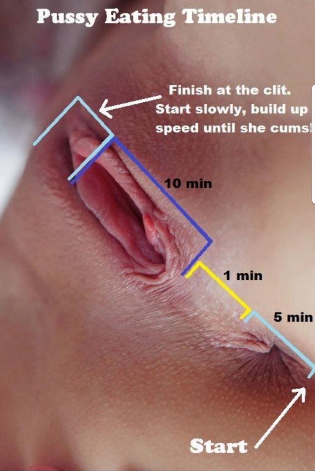 Emilia 👸💓 on X: Pussy Eating Timeline 🤣🤗 Guide for my girls 💕♥️ #pussy  #nsfw #lesbian #sexy t.coRfuPYzsDB2  X