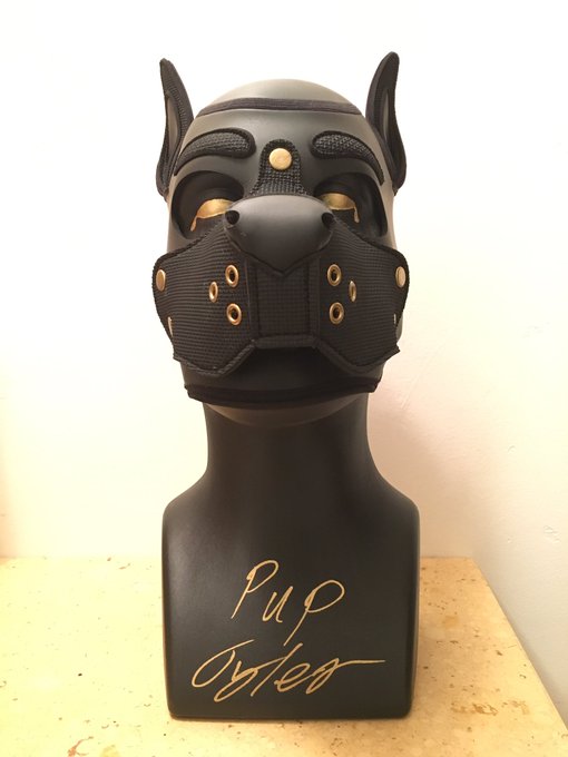 Bought myself a new hood stand, and oh my does it spice up my area 🐾✨🐾 https://t.co/fBguhWe63r<a href="/tag/gayporn"class="tags"><span>#gayporn</span></a><a href="/tag/humanpup"class="tags"><span>#humanpup</span></a>