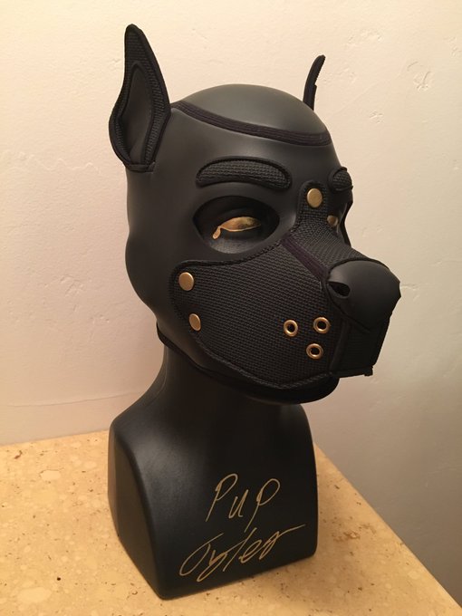 Bought myself a new hood stand, and oh my does it spice up my area 🐾✨🐾 https://t.co/fBguhWe63r<a href="/tag/gayporn"class="tags"><span>#gayporn</span></a><a href="/tag/humanpup"class="tags"><span>#humanpup</span></a>