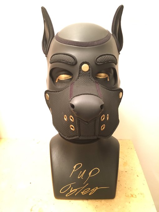 Bought myself a new hood stand, and oh my does it spice up my area 🐾✨🐾 https://t.co/fBguhWe63r<a href="/tag/gayporn"class="tags"><span>#gayporn</span></a><a href="/tag/humanpup"class="tags"><span>#humanpup</span></a>