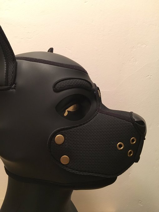 Bought myself a new hood stand, and oh my does it spice up my area 🐾✨🐾 https://t.co/fBguhWe63r<a href="/tag/gayporn"class="tags"><span>#gayporn</span></a><a href="/tag/humanpup"class="tags"><span>#humanpup</span></a>