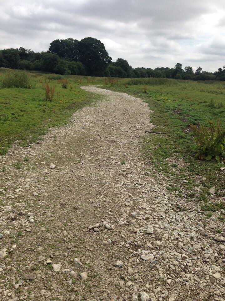stevesmith791's tweet image. @CharlesWalkerMP @BimAfolami @grantshapps @heidiallen @stalbansmp @Feargal_Sharkey @VerValleySoc   Ahead of Monday’s debate I attach 3 pictures of the Ver chalk stream in the same meadow between Redbourn G.C. and the by pass &amp;amp; the huge changes since horse in river photo 2013.