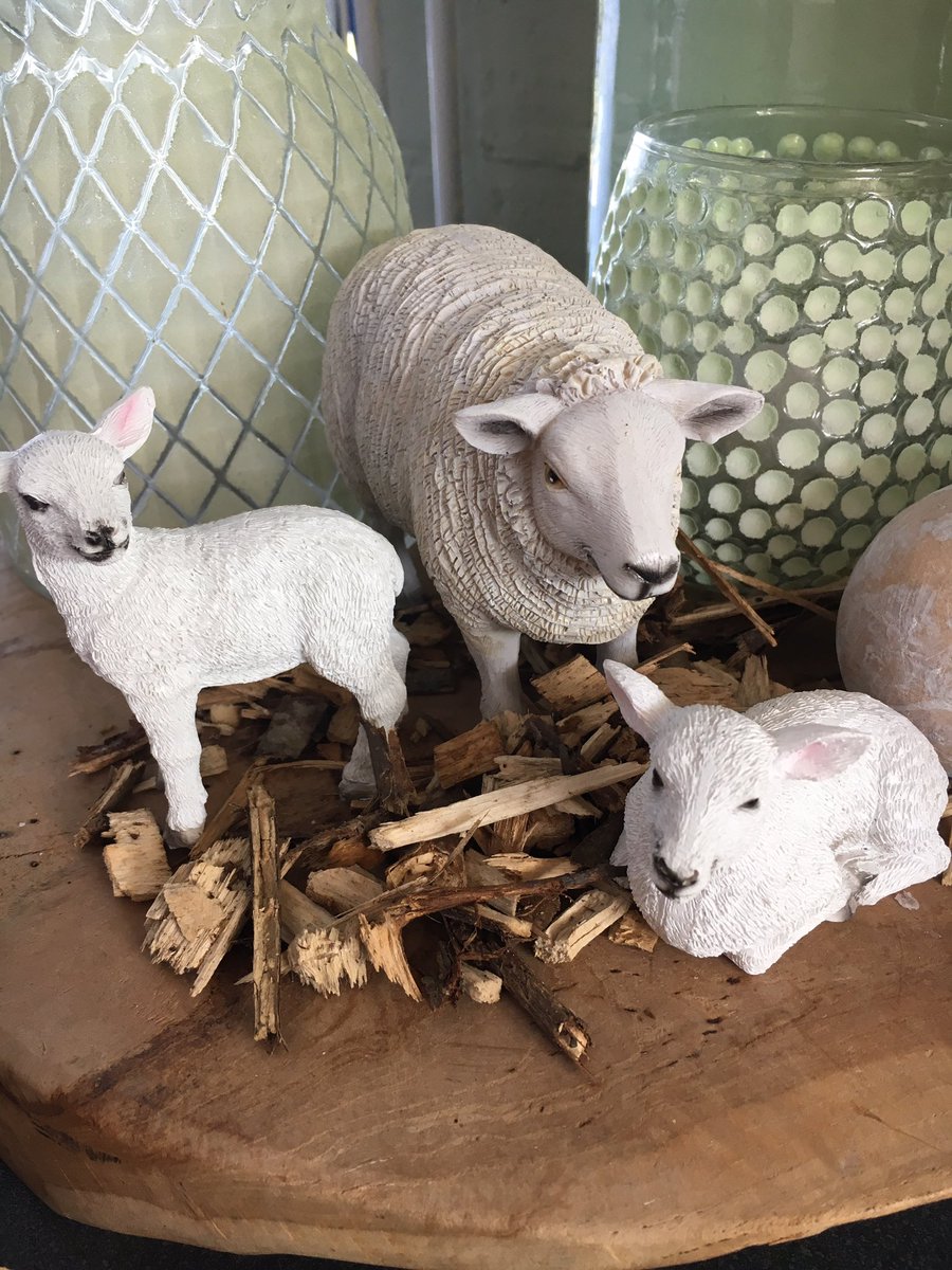 Vandaag weer aankomstdag! Helaas hebben de gasten vandaag wat buitjes, maar volgende week krijgen we (hopelijk) een hittegolf! 🤗 #demuy#bungalows#texel#noordenvantexel#vakantie#deslufter