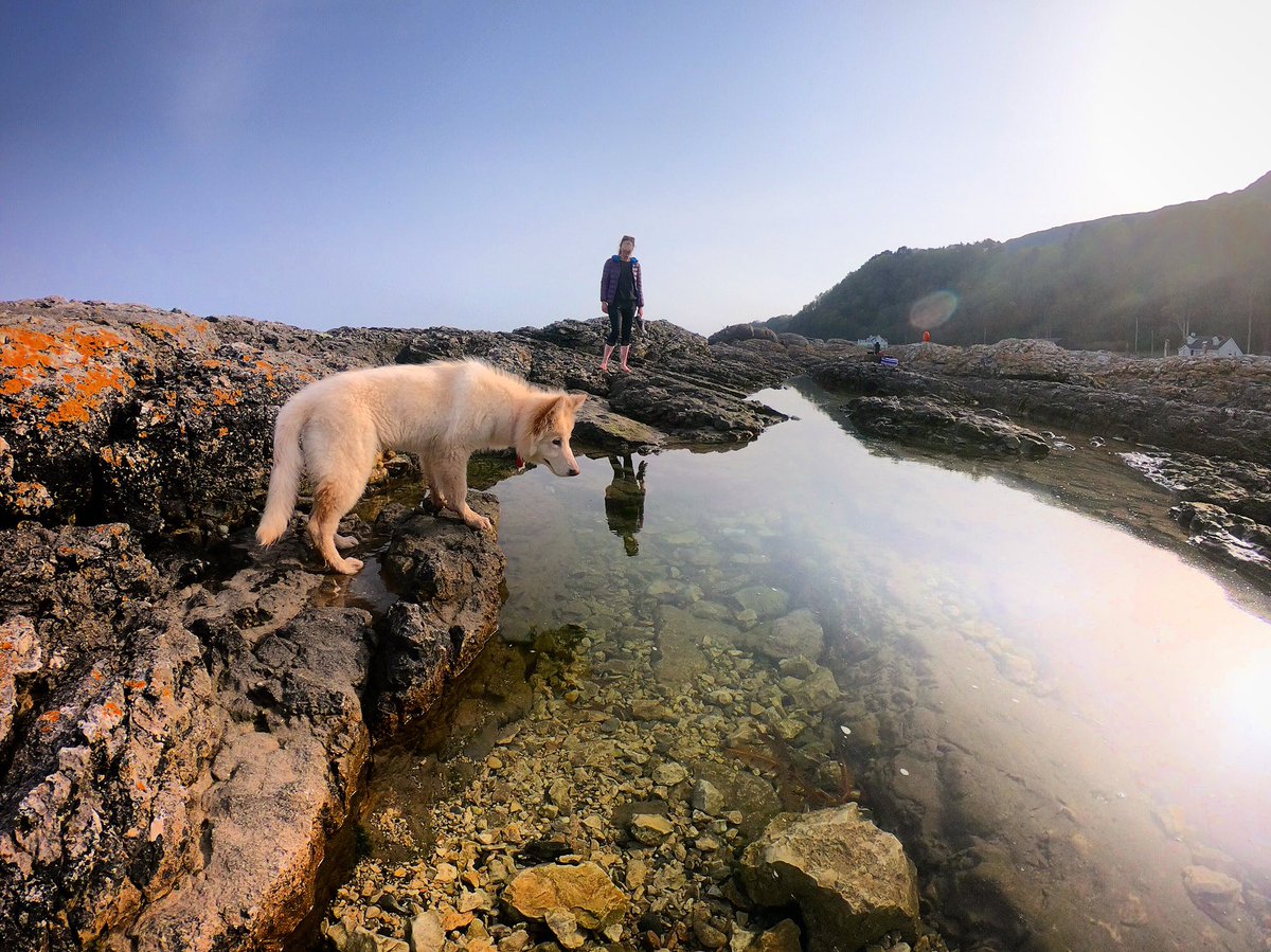 Exploring rock pools for big scary 🦀🦀 on the #CausewayCoastalRoute

#NIEXPLORER