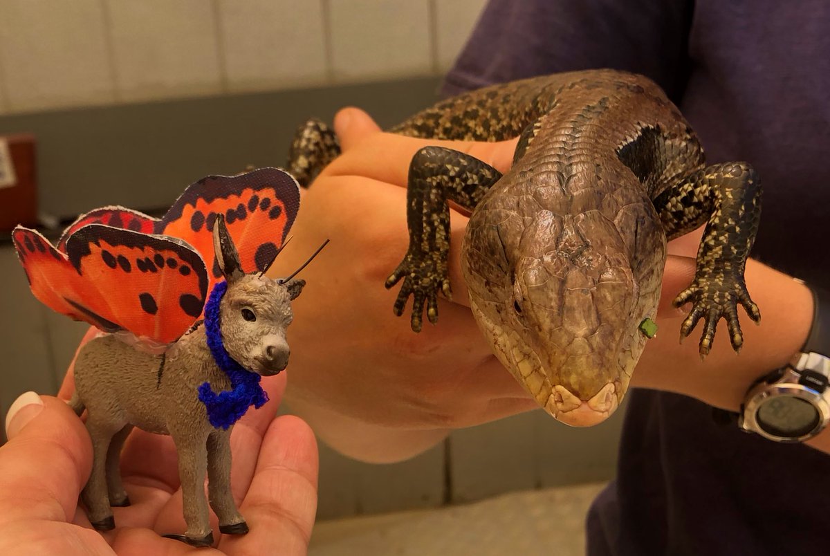 TeamHashtagGish's tweet photo. Making friends is a Gishy thing to do @GISH @GISHAssbutt #gish #gishy #gishprep #gishhashtag https://t.co/YyVEDieRd1