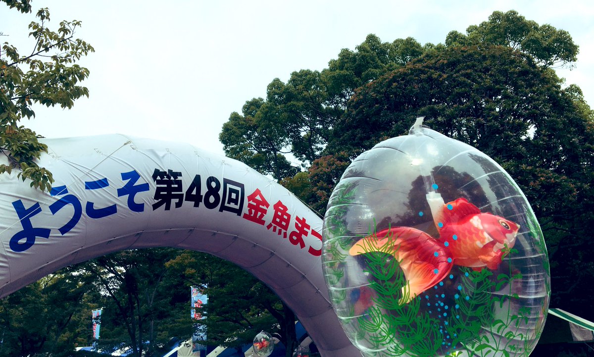 トミイマサコ 江戸川区行船公園の金魚まつりついに来た 金魚 金魚 金魚だらけ すみだ水族館 葛西水族館も出店してた トミイマサコ 江戸川区行船公園の金魚まつりついに来た 金魚 金魚 金魚だらけ すみだ水族館 葛西水族館も出店してた