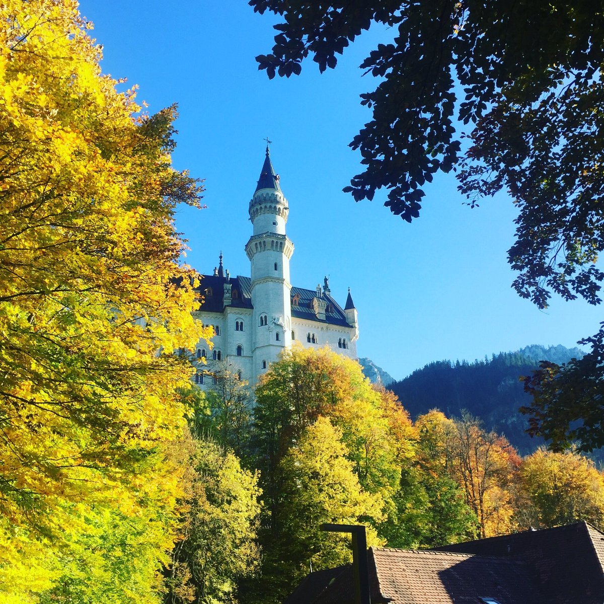 andrearp01's tweet image. I want to come back