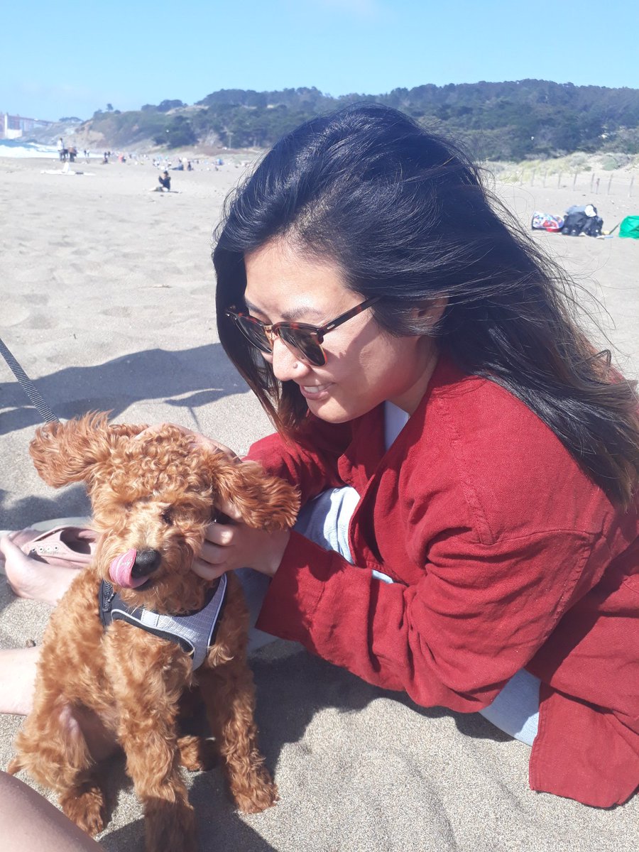 aurora_84's tweet photo. PS. we met the cutest dog that came running to us on the beach. #SFtweet https://t.co/bCIZwWAc9n