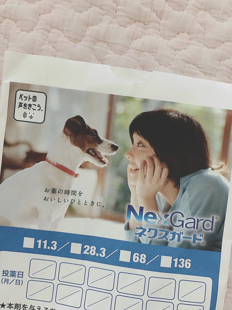 Manico V Twitter 草むらスンスンと山登りが 大好きなハンナさんは お薬タイムなうー ノミとマダニのお薬 美味しいワーーン 月に一度のお楽しみ ノミダニ駆除薬 ネクスガード フレンチブルドッグ 犬との暮らし フレブル 鼻ぺちゃ