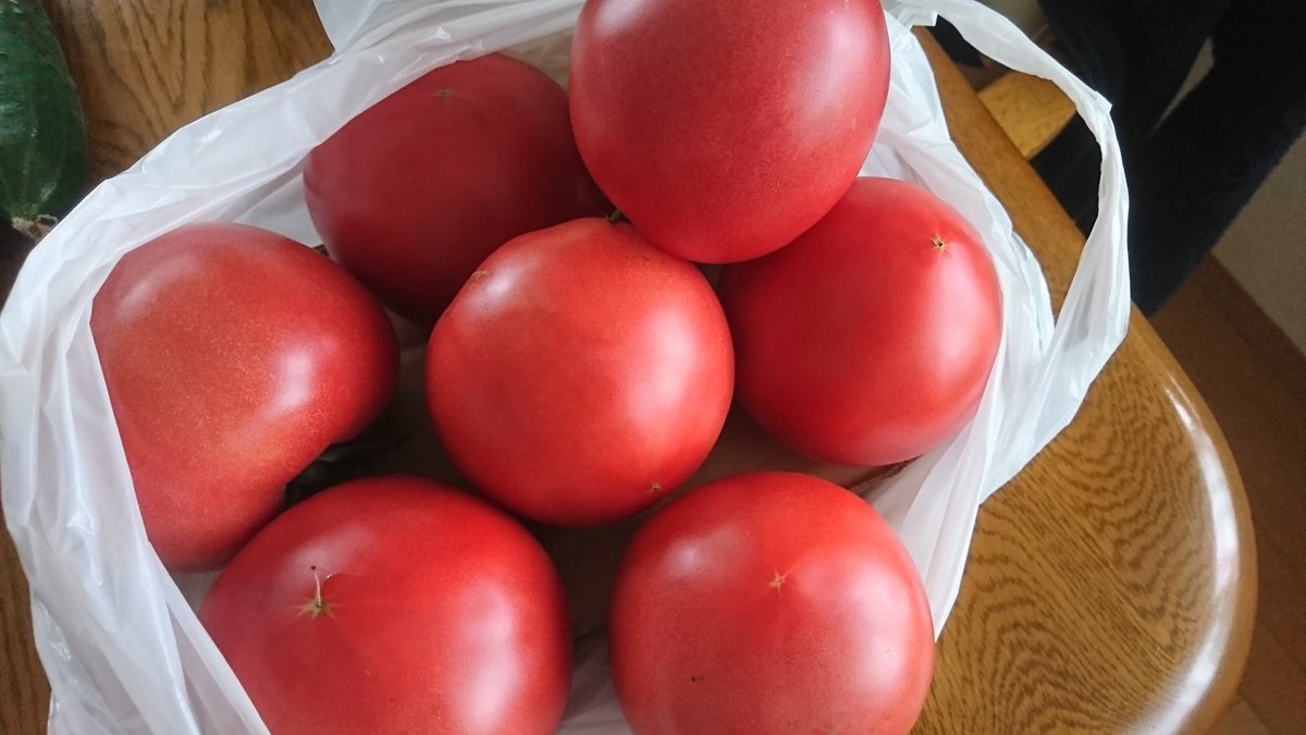 金兵衛 美味しいトマトを求めて 野菜直売所までドライブ スピード違反取り締まりに注意しながら 走ってきましたよ トマトをはじめ ブロッコリー キュウリ ズッキーニなど色々買えました トマトがでかい ほべつメロンが売られていたので これも