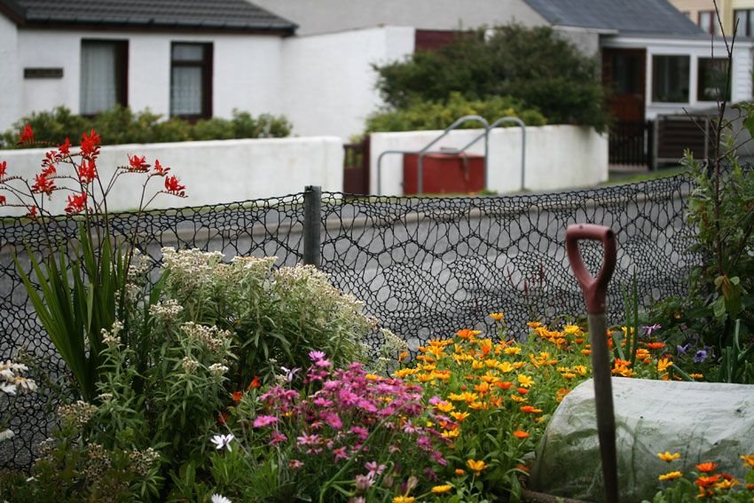 womensart1's tweet photo. Knitter Anne Eunson, who knitted a fence with twine based on a Shetland lace pattern, installed at the Shetland Textile Museum, Lerwick (via @DorothyLander) #womensart https://t.co/MnPFaq9BWX