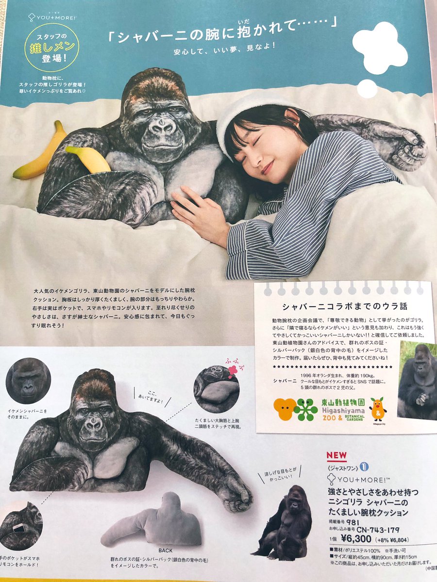 俺たちのフェリシモがまたやってくれた イケメンゴリラ シャバーニ の腕枕クッションが登場 ドキドキしちゃう 野生の匂いつきか Togetter 俺たちのフェリシモがまたやってくれた イケメンゴリラ シャバーニ の腕枕クッションが登場 ドキドキしちゃう 野生の匂いつきか Togetter