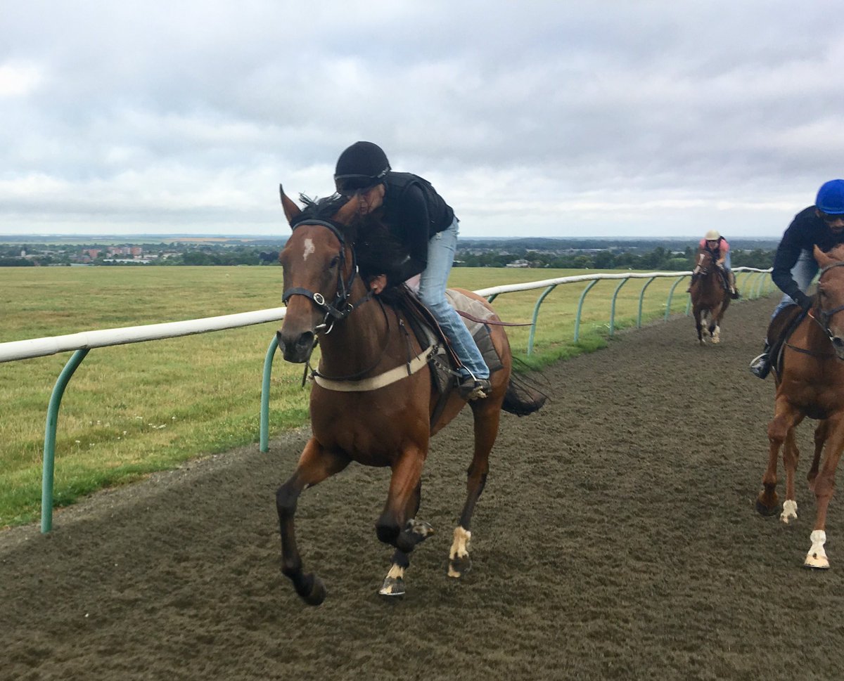 JohnWathenBerry's tweet photo. Rain yesterday evening &amp; overnight @NewmarketGallop seems to have been &amp; gone. Sunshine should soon return ahead of a hot spell next week. @RafflesRacing #SacredSprite feeling well ahead of her trip @ChelmsfordCRC on Tuesday. https://t.co/rVbluTJAxN