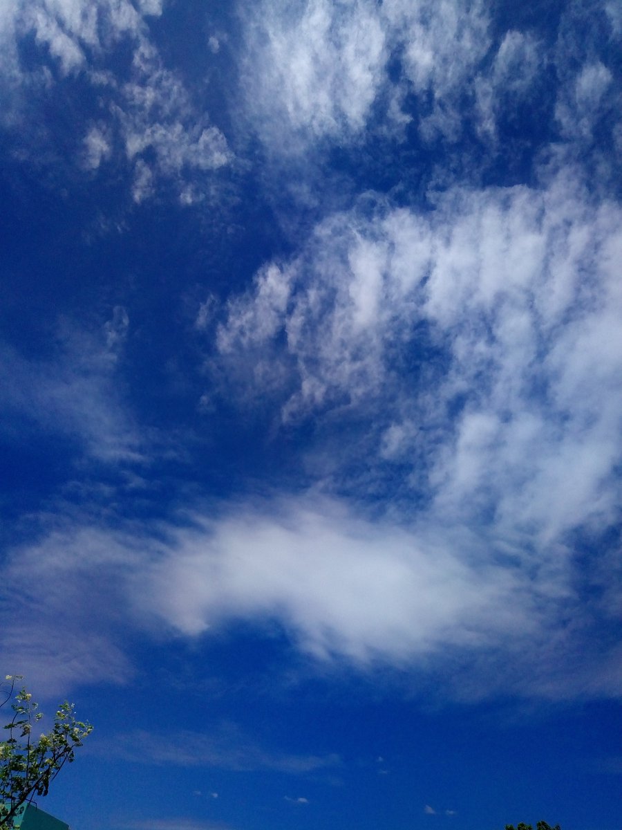 Hindujaashok10's tweet photo. Don't stress !! Be relax .Have a wonderful day 🤗 .
@RanaDaggubati 
#Naturephotography 
#CoolSaturday https://t.co/aqdXGdIt2b
