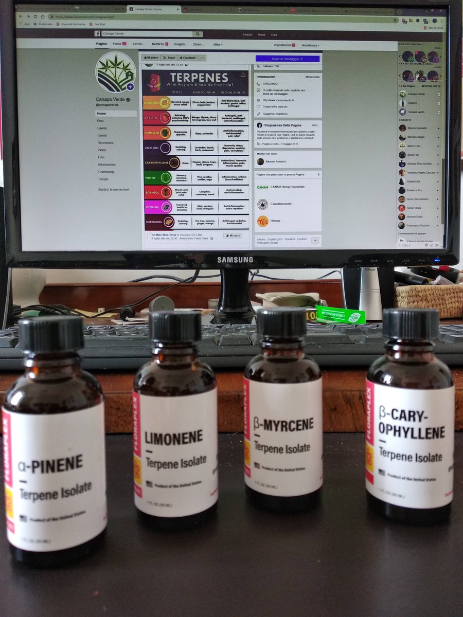 Canapa Verde tweet media