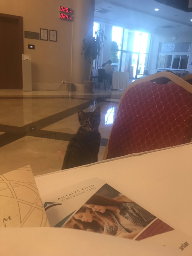 Doğa sever kampüsümüzden günaydın💕🐈 Antalya Bilim Tanıtım günlerinden sevgilerimizle.. #yeşil #doğa #dostu #kampüs