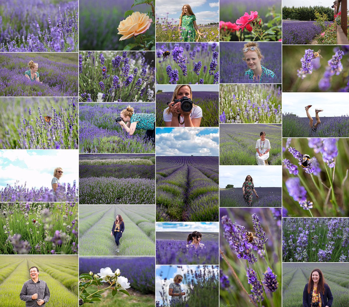 Do you want to take photos like this? Looking to understand that DSLR better? Join me next Wednesday at #hitchinlavender <a href="/HitchinLavender/">Hitchin Lavender</a> #photographyworkshop billetto.co.uk/users/sharon-c…