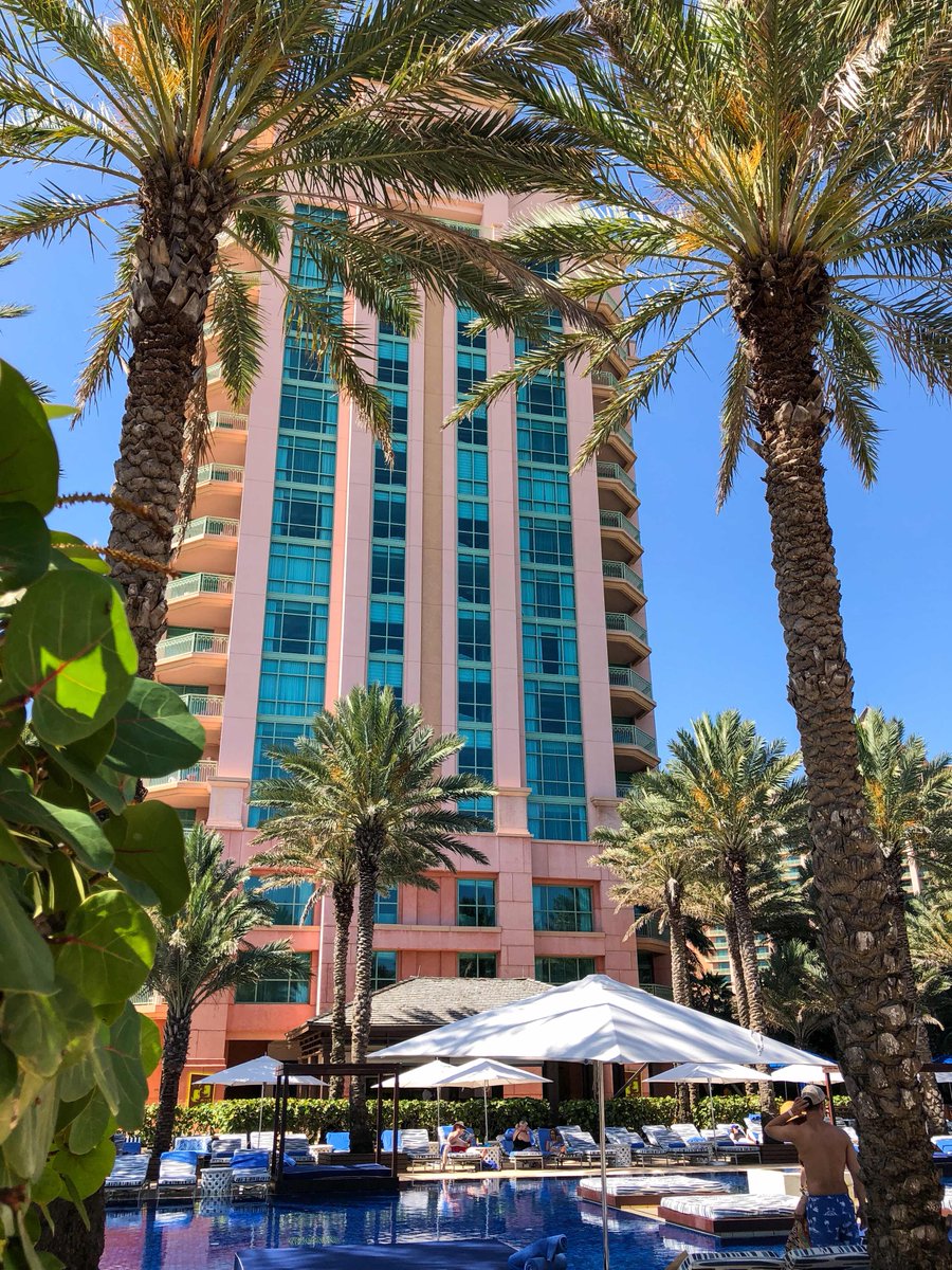 TheCoveAtlantis's tweet photo. Nestled in splendor #SummerOfCove #CovePool #TheCoveAtlantis #BahamasAtHeart https://t.co/YxOJLzeVBK