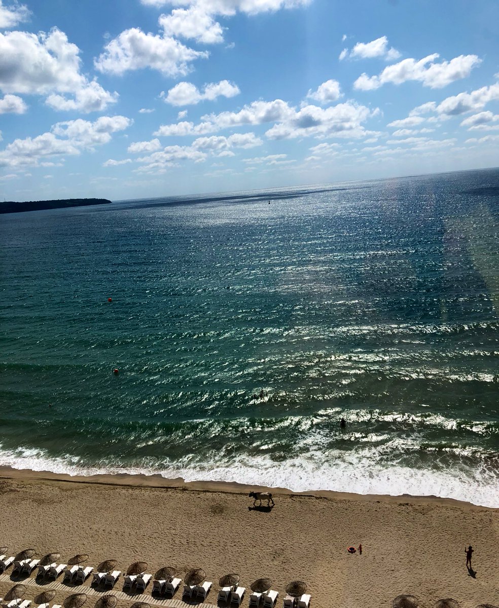 Kurban Bayramı bu değil. 🐄