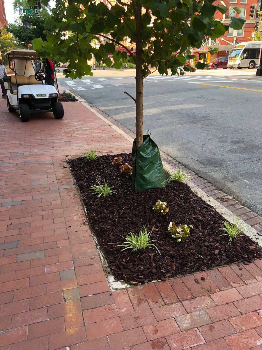 Thank you! ⁦<a href="/DowntownDCBID/">DowntownDC</a>⁩ making 5th st NW look great. Appreciate all the love for the Chinatown neighborhood!