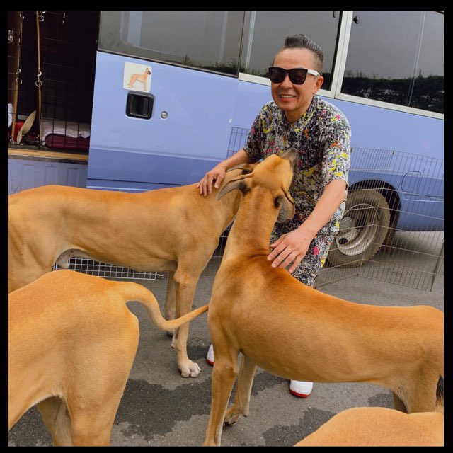 Noboru Tomizawa على تويتر グレートデンと散歩 大型犬の一犬種 大きな体格と穏和な性格の家庭犬として知られる 優しい巨人 犬の中のアポロン神 と言われ ジャーマン マスティフと呼ばれることもある アイリッシュ ウルフハウンドに次いで最も体高が