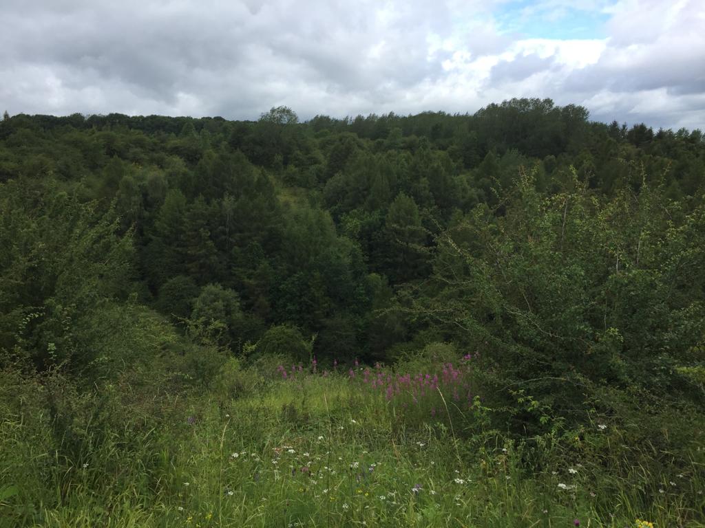 paulstone40's tweet photo. Walking and exploring #Faulds crater, site of the largest #explosion ever to occur in the UK. With @patstone356bc https://t.co/7tt10R6aJZ