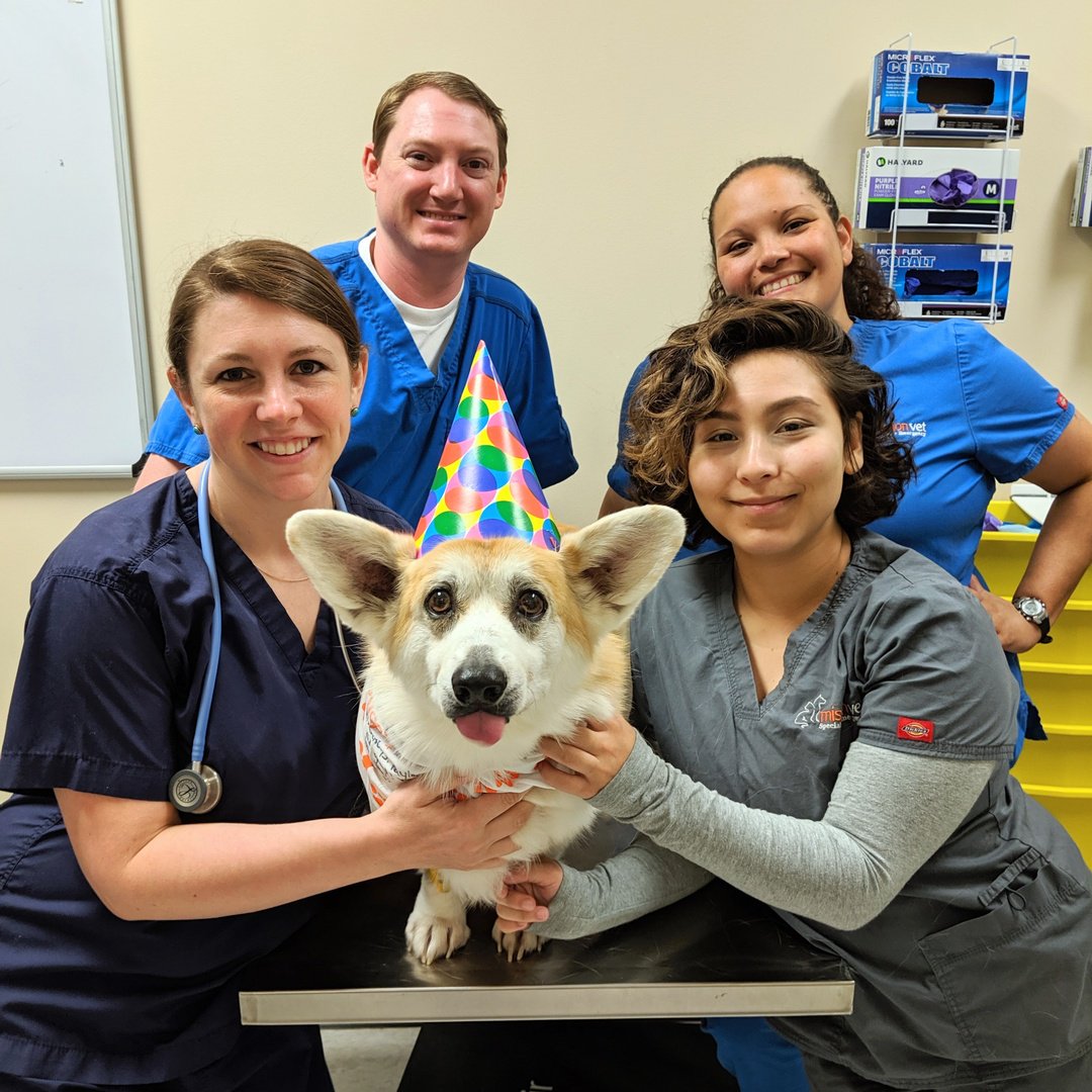 Waylon is all smiles (and a little tongue!) because he completed his chemotherapy protocol! We are happy to report that he is in complete remission after fighting B Cell Lymphoma, and we couldn’t be more excited for Waylon and his family! 🎉