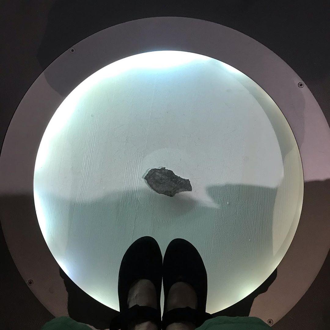 AgaKhanMuseum's tweet photo. Today marks the 50th anniversary of the first human steps on the moon. Celebrate the anniversary at our #MoonLandingFestival and see #MoonTO, it just might be the closest you'll ever get to the moon!
Details: https://t.co/skRgOjVyMY
๐ธ: @katemhilton https://t.co/CiXDrQx9nc