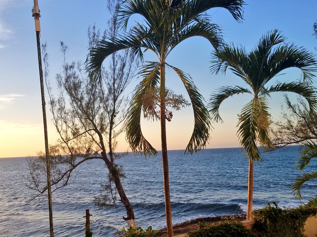 lionheartAustin's tweet photo. Going on day 14 in Jamaica.  This is the view from our room. 
It is a blessing to experience nature in this environment. https://t.co/kfZngNPQ80