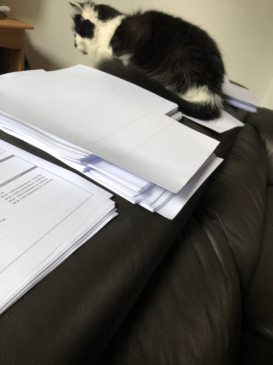 Kirstin16o3's tweet photo. Today will be spent employing a bit of child labour. Iโve put everything into neat piles to make it easier for the boy...Cobweb, however has other plans. #Shitcat https://t.co/dtOvocfhEP
