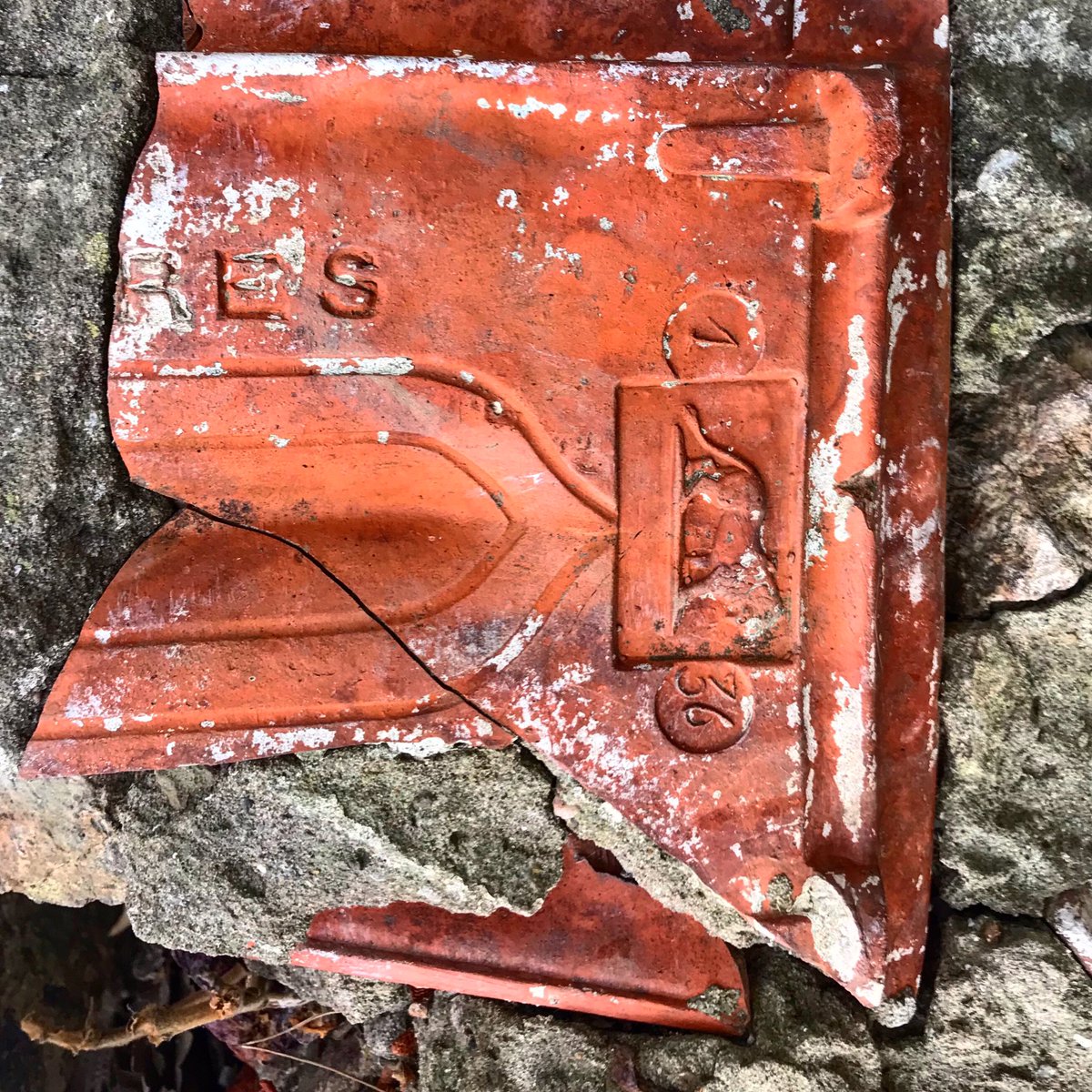 Chriak's tweet photo. Could anyone help me solve this puzzle? Found type in our backyard; Tile pieces in the cement, reading as ‘D Freres Marseille’ https://t.co/DEJiZoZZAN