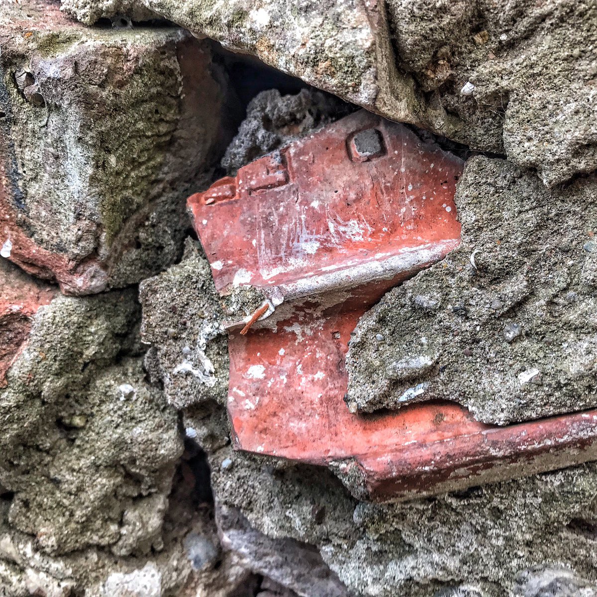 Chriak's tweet photo. Could anyone help me solve this puzzle? Found type in our backyard; Tile pieces in the cement, reading as ‘D Freres Marseille’ https://t.co/DEJiZoZZAN