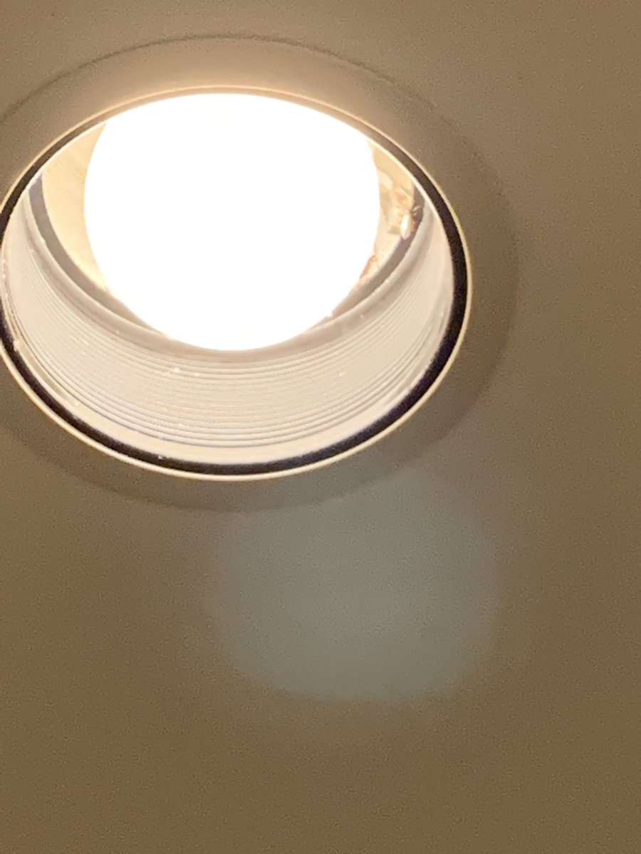 JihyeonHong's tweet photo. Hi guys, I realized that flying ants live inside the light yesterday, so I sprayed an insecticide on it several times, and they fell down to the floor. There were so many. I struggled to kill them for two hours. I hope that they don't show up in my house anymore.😩#fd95miccheckyo https://t.co/NdtvbiF36h