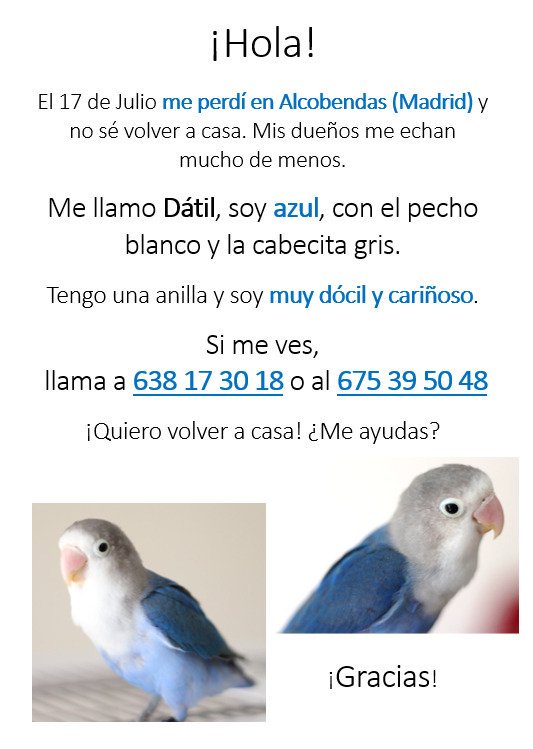 Marta_mpf's tweet photo. ¿Me ayudas a difundir? Le echamos mucho de menos https://t.co/kvBG4GprW3