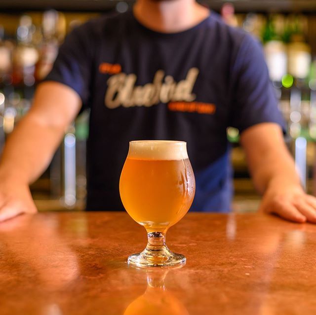 Brew Fest Weekend!! Fly in for our Hill Farmstead Feature 👉 AND seen here we’re pouring 14th Star’s 1493 - hoppy pale ale brewed with fresh citrus and a bit of coriander. 🍻 ift.tt/2xVDks3