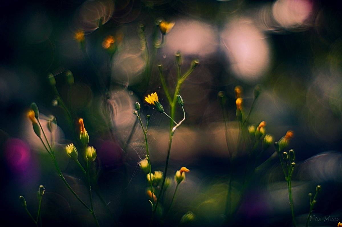 Der Mensch ist dazu berufen, in seinem Innersten zu leben ... nur von hier aus ist auch die rechte Auseinandersetzung mit der Welt möglich; nur von hier aus kann er den Platz in der Welt finden, der ihm zugedacht ist.

Edith Stein (1891-1942)