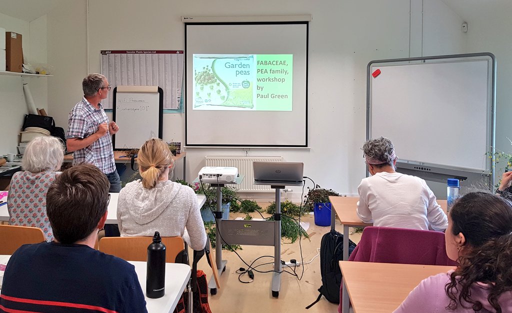 BioDataCentre's tweet photo. Paul Green @WexfordBotany1 kicks us off for our workshop on peas! And yes, there are far more pea plants in Ireland than the edible ones you can grow to eat at home! #Fabaceae #Wildflowers #SummerAutumn2019 #WorkshopProgramme https://t.co/CQlCRE0XuB