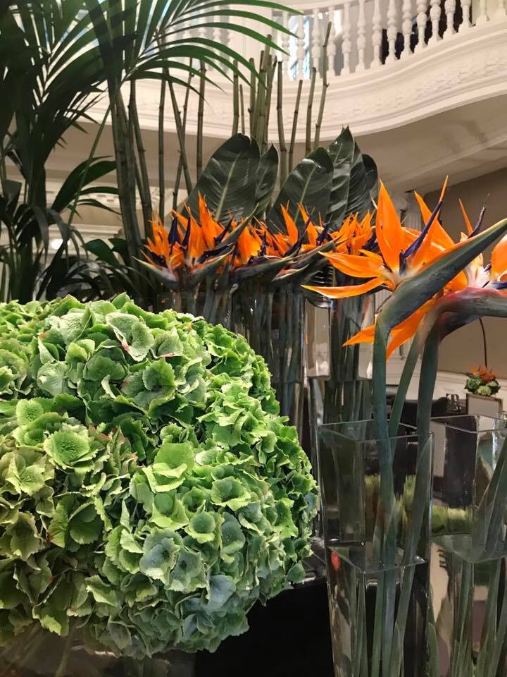 Planet Flowers tweet media