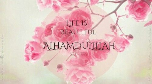 nfizaris's tweet photo. Alhamdulillah... https://t.co/JrAJuAB0QQ