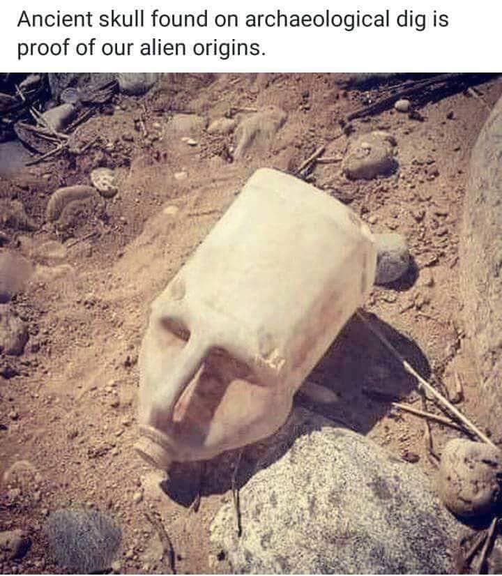 16forbs's tweet photo. #researchflatearth 
#NASAlies
#DarwinWasWrong https://t.co/vWiCFtyyGe