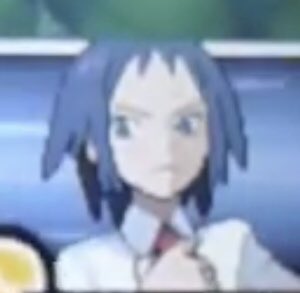 ポケマスラボ トレーナー比較紹介 42 チェレン 登場作品 ブラック ホワイト等 手持ちポケモン バッフロン ミミロップ ザングース ムーランド等 人物情報 Bwの主人公の幼馴染 Bw2ではジムリーダーに昇格している ノーマルタイプの使い手