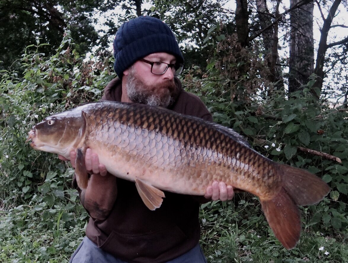 Best of 3 on a busy morning feeding spell on the nature reserve. #carp #carpfishing #carpdiem #commoncarp